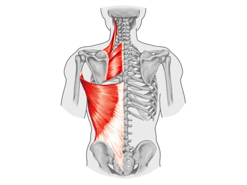 Ból jednego obszaru ciała moe mieć przyczynę w zupełnie innym obszarze, w treningu medycznym leczymy przyczynę a nie tylko objawy